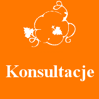 konsultacje1